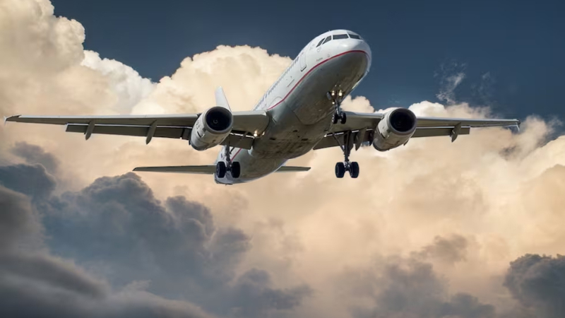 Aerofobia: cómo es el miedo a volar y algunos consejos para prevenirlo
