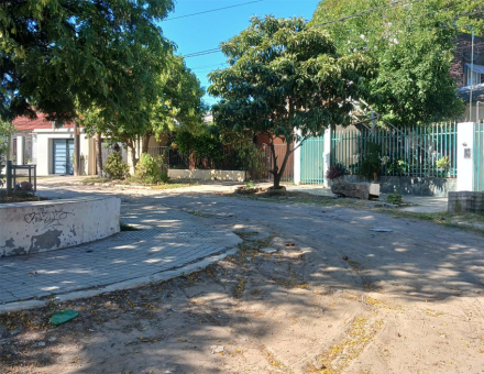 bache.jpg