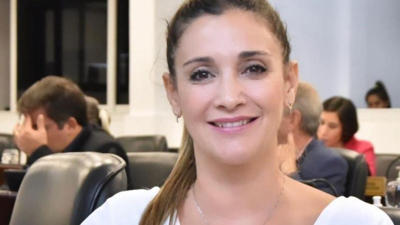 Panzardi defendió el liderazgo de Capitanich y cuestionó intento internista