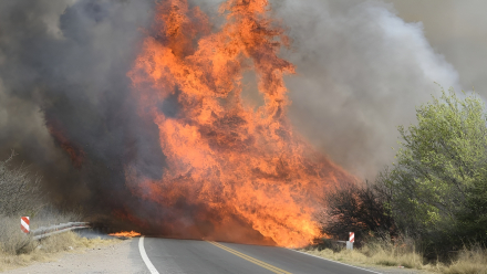 incendios2.jpg