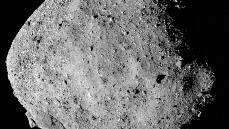 Hallan componentes básicos de la vida en las muestras de Bennu