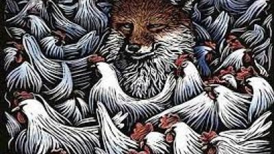 Los zorros y la gallina