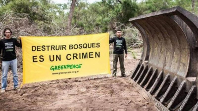 Greenpace va a la Corte por la deforestación en el Chaco y en Salta