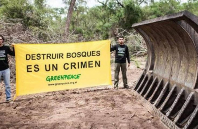 Greenpace va a la Corte por la deforestación en el Chaco y en Salta