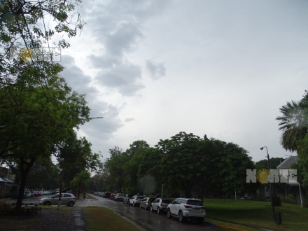 lluvia tenue 2.jpg