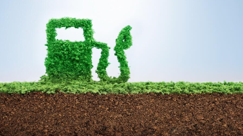 La producción argentina de biodiesel cayó del 8% al 2% de la producción mundial