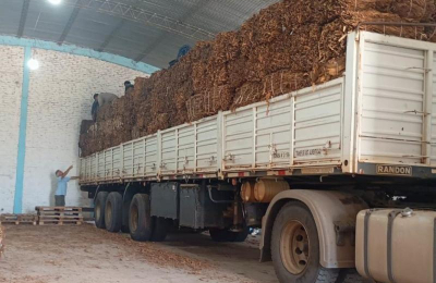 Histórico acopio en la Asociación Tabacalera de General San Martín