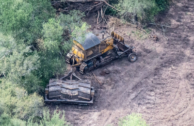 Evalúan impacto del desmonte y falta de regulación