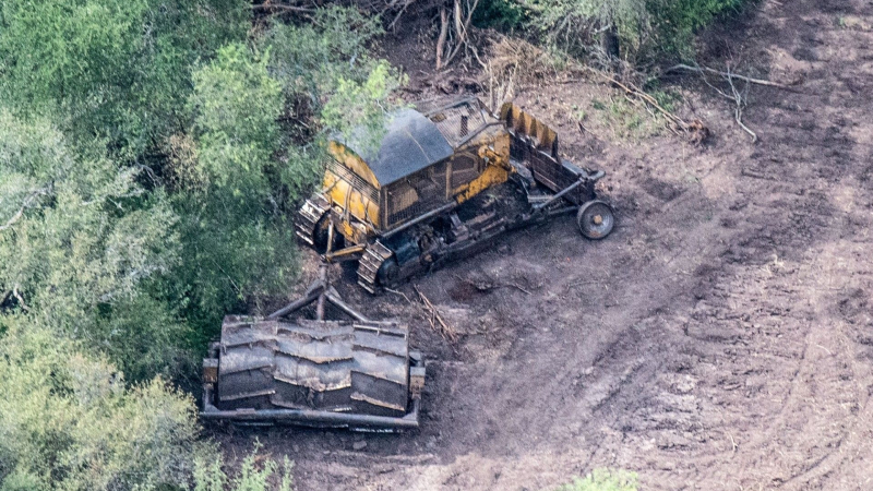 Evalúan impacto del desmonte y falta de regulación