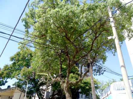 cables01.jpg