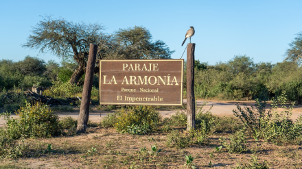 El Impenetrable - Paraje La Armonía - Ph  Horacio Barbieri.jpg