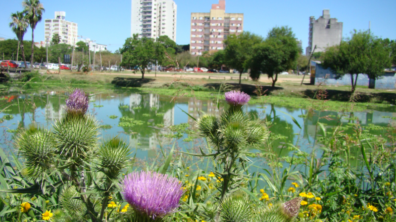 El tiempo: fin de semana agradable con temperaturas templadas y vientos moderados