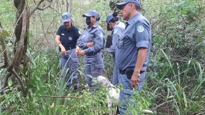El macabro hallazgo en la causa por el crimen de una nena en Formosa