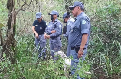 El macabro hallazgo en la causa por el crimen de una nena en Formosa