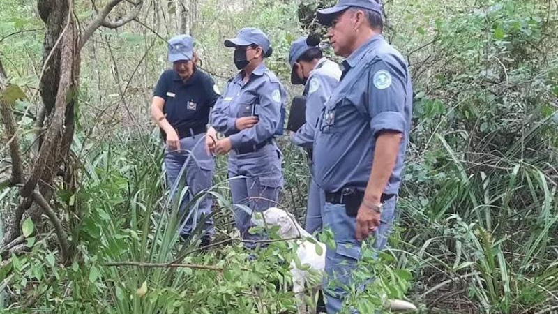 El macabro hallazgo en la causa por el crimen de una nena en Formosa