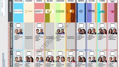 En el Chaco, la boleta única de papel debutará con la elección nacional