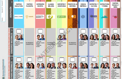 En el Chaco, la boleta única de papel debutará con la elección nacional
