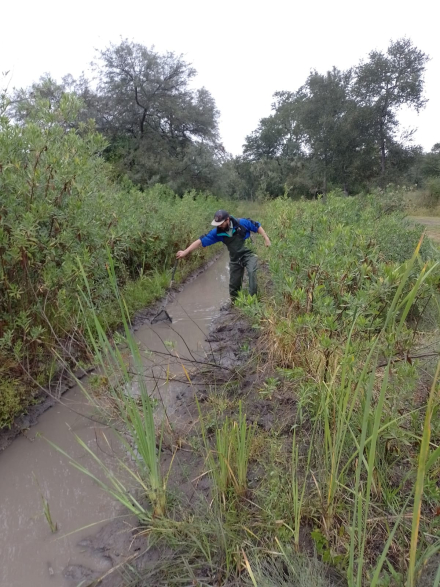 Habitat de T calvinoi PN Chaco 4.jpeg