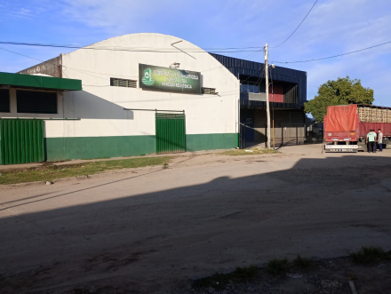 MERCADO.jpg