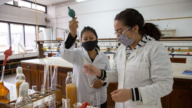 Exsecretaria de Ciencia y Tecnología advirtió sobre el vaciamiento del sistema científico