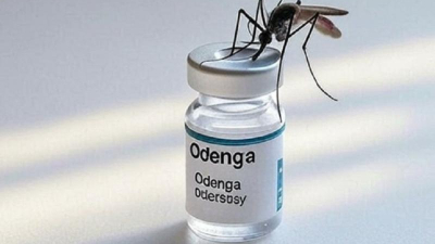 Dengue: investigación periodística plantea dudas sobre compras directas