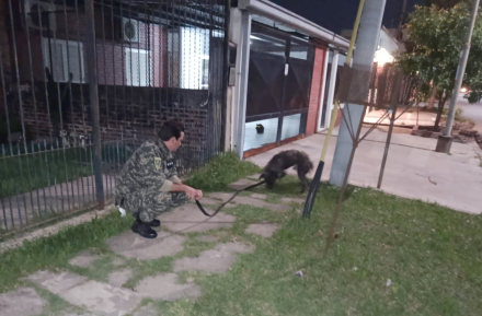 moro3.jpg