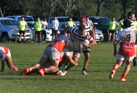 rugby2.jpg