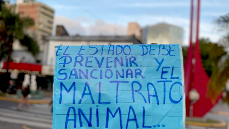 La Red Animalista presenta una agenda propia provincial