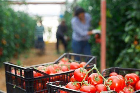 agricultura01.jpg