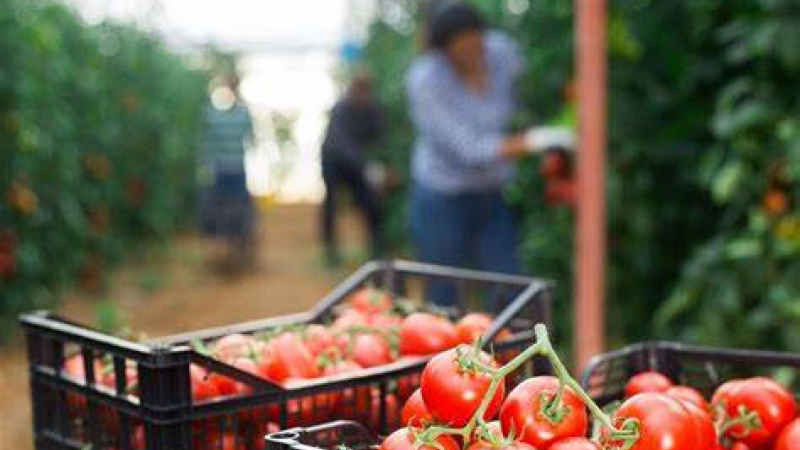 Charla en la UNNE sobre "Una Experiencia Agroecológica Familiar"