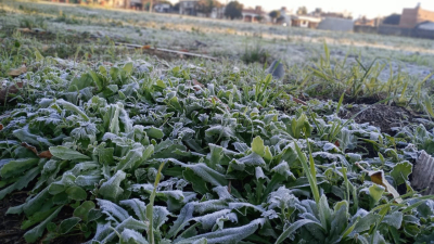 Martes helado en Resistencia: 0.9°C y 91% de humedad
