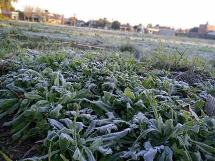 FRIO 1.jpg