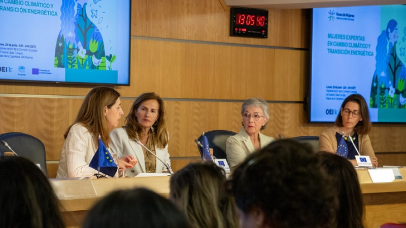 Investigadora de la UNNE participó en Madrid en una reunión de expertas que abordarán la transición energética