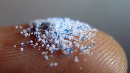microplasticos-fluidos-hum4.jpg