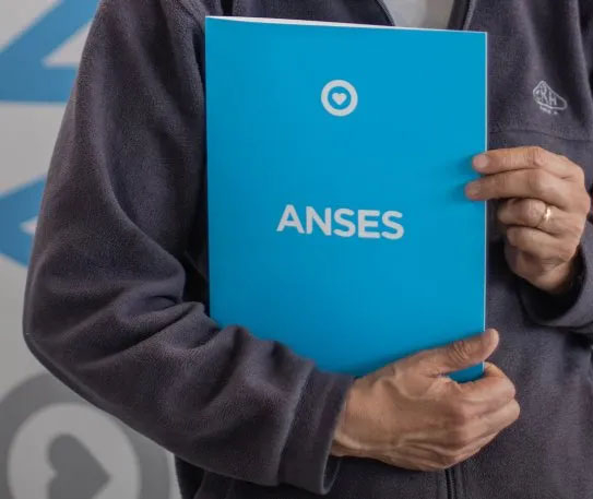 anses.jpg