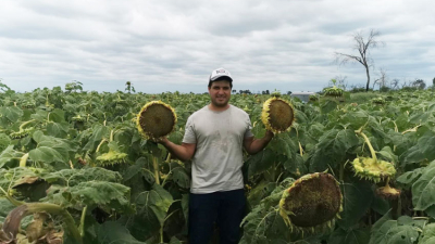 "Sembrar girasol implica dinamizar la economía hacia fin de año"