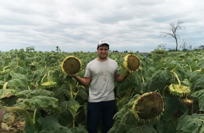 "Sembrar girasol implica dinamizar la economía hacia fin de año"