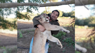 Se sacó fotos con un puma muerto y terminó preso por caza furtiva