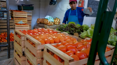 Productores salteños en alerta por la crisis del tomate