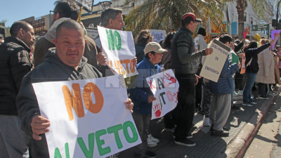 Resistencia se movilizó por el veto a la ley de emergencia en discapacidad