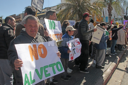 marcha por discapacidad 1.jpg