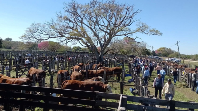 Brillo, color y una jornada a todo campo en San Luis del Palmar