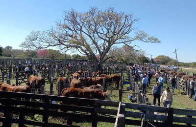 Brillo, color y una jornada a todo campo en San Luis del Palmar
