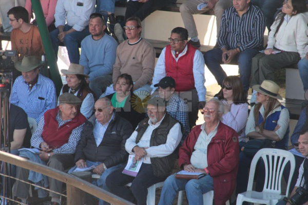 Foto: Fabian Maldonado.