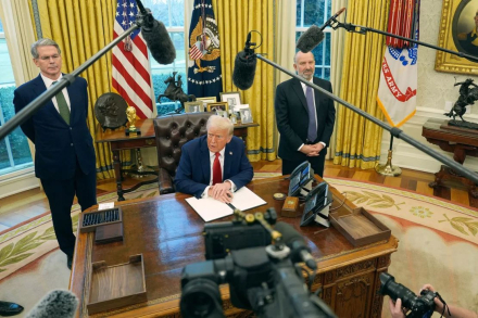 donald01.jpg