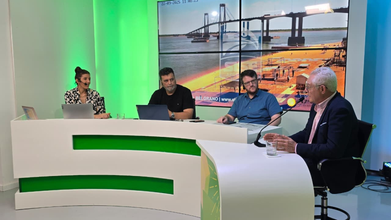 "El mayor peligro estructural del puente es la inexistencia de las defensas definitivas"