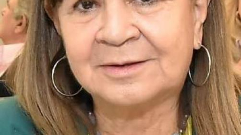 Diputada radical acusa a Leiva de mentir y lo compara con Capitanich