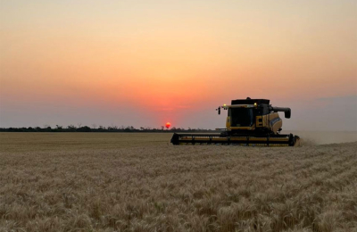 Avanza la cosecha de trigo con buenos rindes