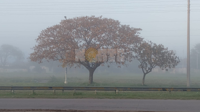 Neblina en la mañana capitalina: cómo seguirá el tiempo