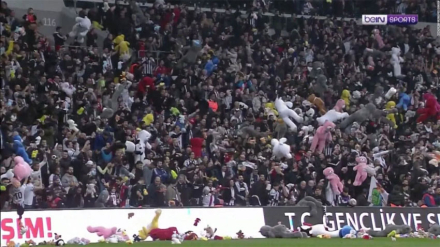hincha4.jpg
